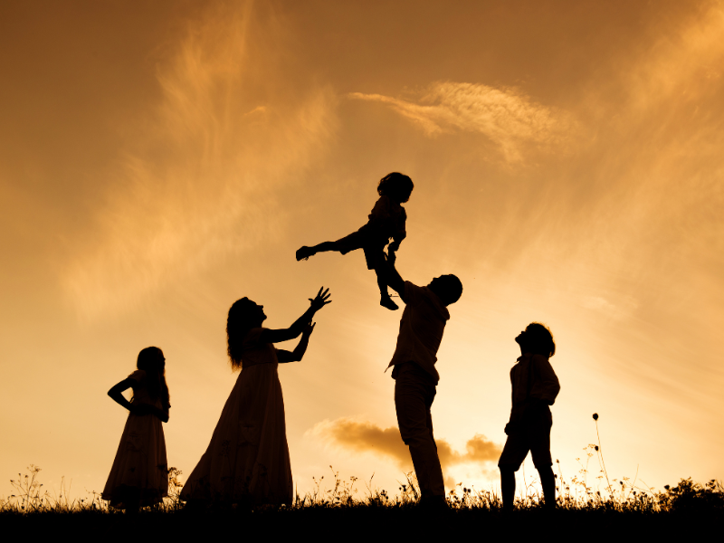 Family 2 Box by Apollo Tours Ltd