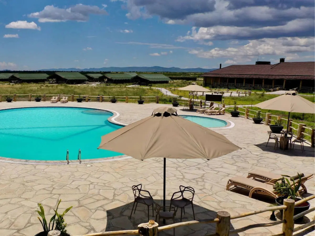 Apollo Simba Safaris Pictures - Maisha Sweetwaters