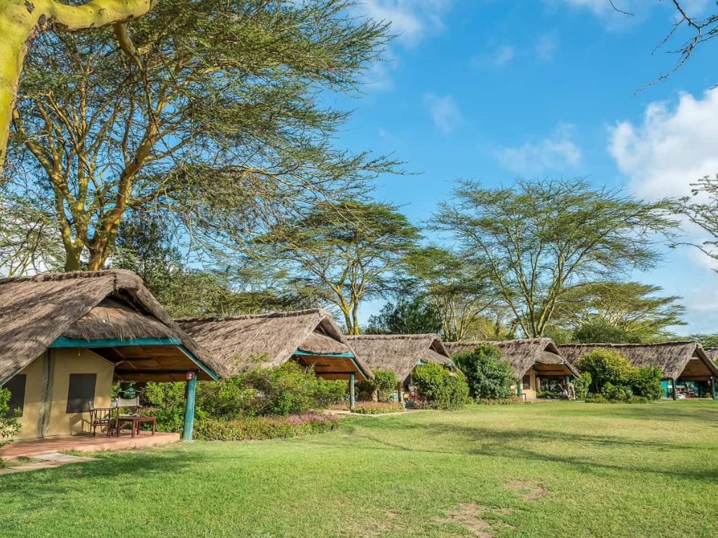 Sweetwaters Serena Safari Camp - Apollo Tours