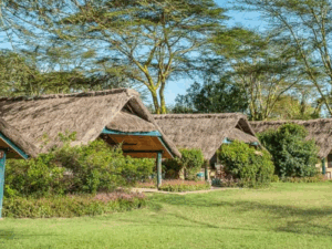 Sweetwaters Serena Safari Camp Hero by Apollo Tours
